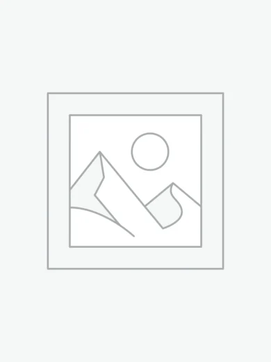 Uncategorized